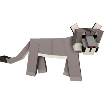 Puma 2024 survey monkey