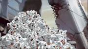 GreatPurgeSurvivors
