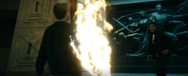 Lamplighter Self Immolation