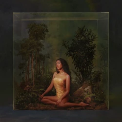 Three Dimensions Deep | Amber Mark Wiki | Fandom