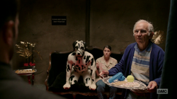 Jesse, Cassidy, and Tulip presented with options for a sex act with a man in a dalmatian costume