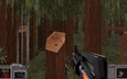 Jungle (5)