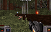 Jungle (15)