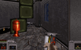 Jungle (26)