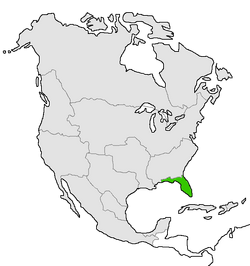 Florida | Una América Diferente Wiki | Fandom Florida | Una América Diferente Wiki | Fandom