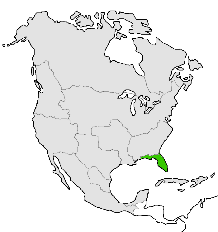 Florida | Una América Diferente Wiki | Fandom