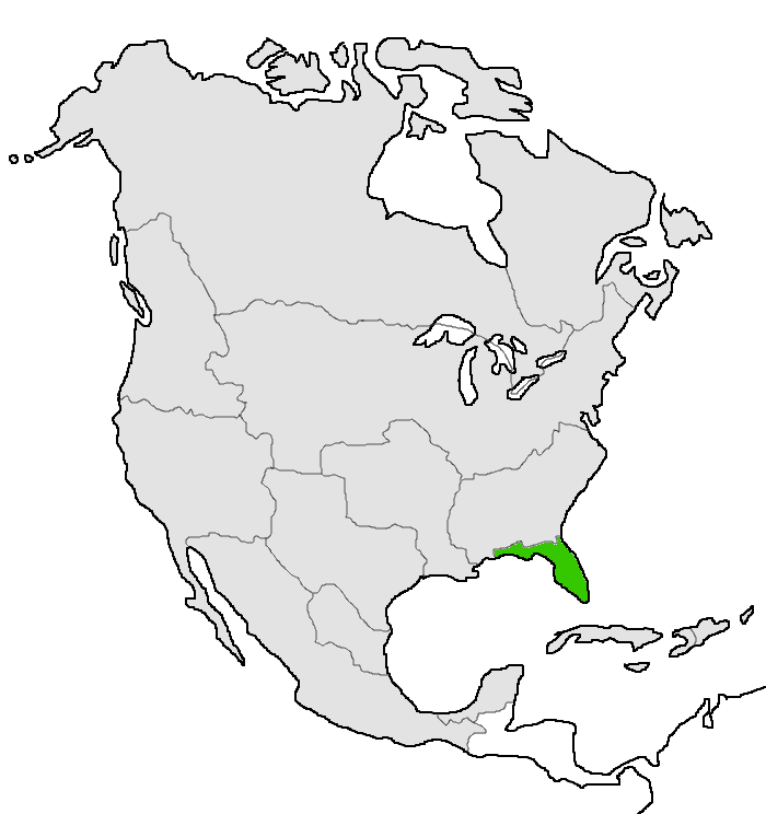 Florida | Una América Diferente Wiki | Fandom Florida | Una América Diferente Wiki | Fandom