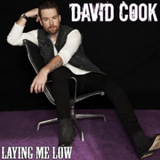 Davidcook-layingmelow