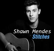 Shawn-mendes Stitches lirikslaguku lyrics