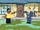 Cleveland Brown