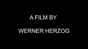Herzog