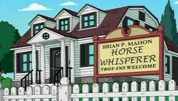 Horse whisperer