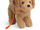 McKenna's Dog