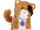 Ginger (cat)