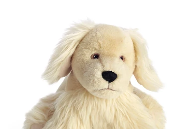 American Girl – Peluche Daffodil Doodle Dog – Chien Labradoodle Marron – NEUF