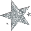 Silver-star.png