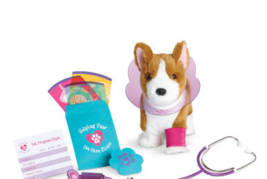 American Girl: Pet Grooming Studio