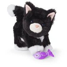 Licorice2022.jpg (296 KB) 2022-2024 design.