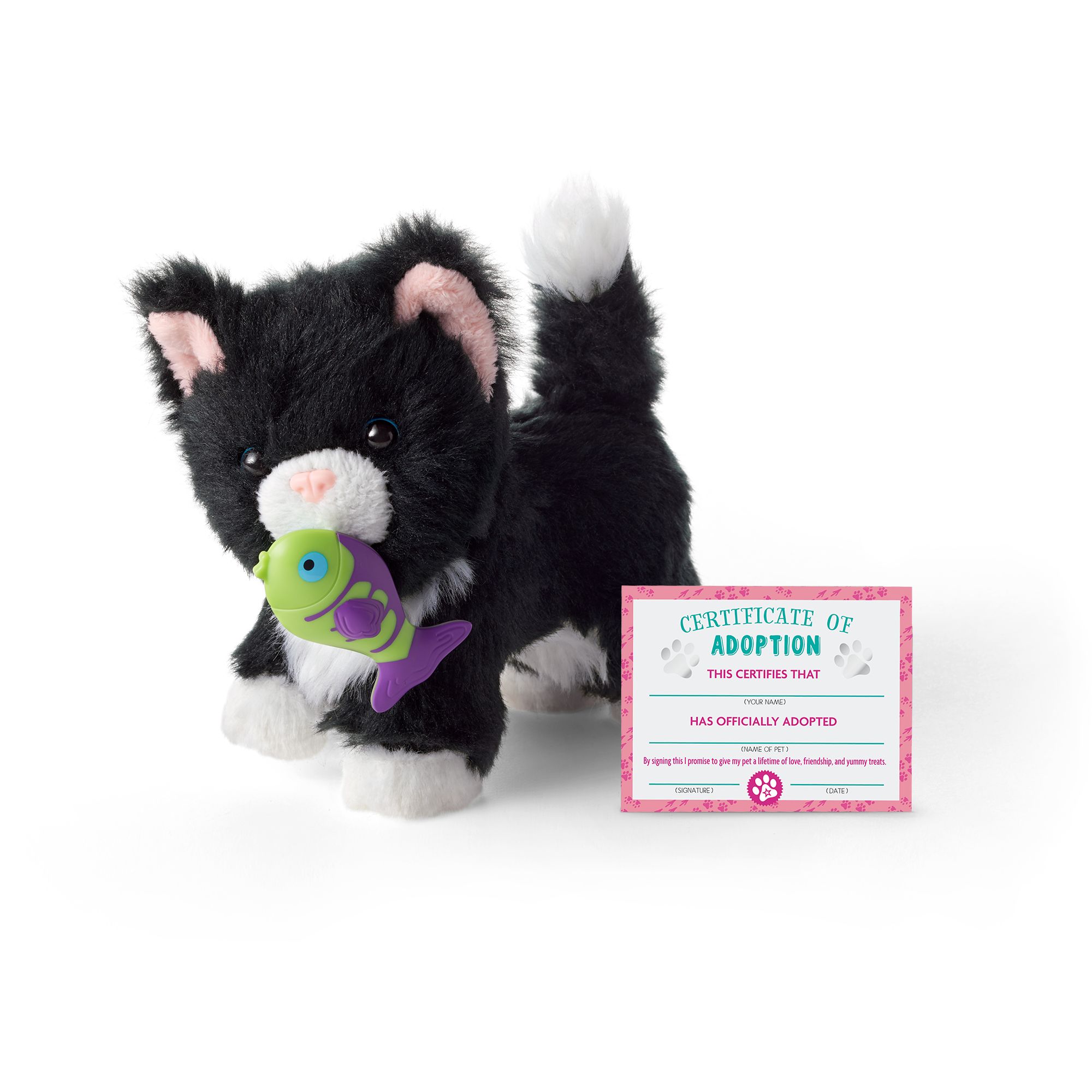 American girl black cat 2025