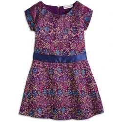 Fancy Holiday Dress | American Girl Wiki | Fandom