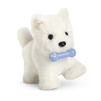 american girl corgi