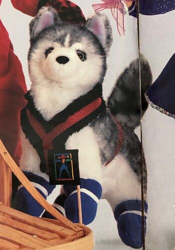HuskyDog