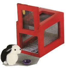BaxterTheBunny.jpg