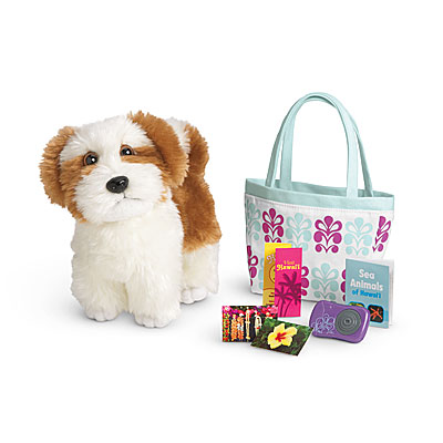 american girl pet accessories