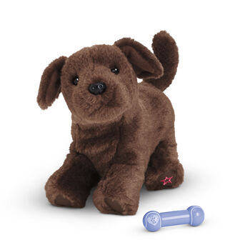 ChocolateLabPuppy2014