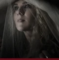 Misty Day