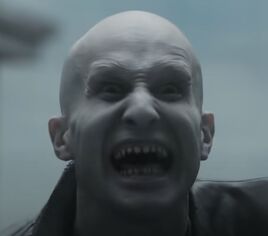 Fleshphantom