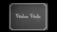 312VitalumVitalis1