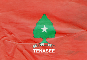 Tenasee Flag