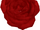 Huge Rose.png