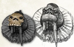 Walrus concept art