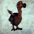 Dodo render