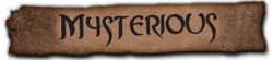 Visit American's "Mysterious" shop!