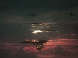 Valkyries