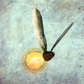 Bulbfly render.png