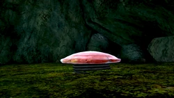 Mushroom