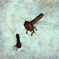 Bolterfly render.png