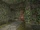 Mystifying Madness - Hallway.png