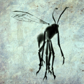 Samurai Ink Wasp render.png