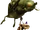 Fungi.png