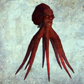 Octopus render