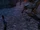 Gryphon talking to Alice.png