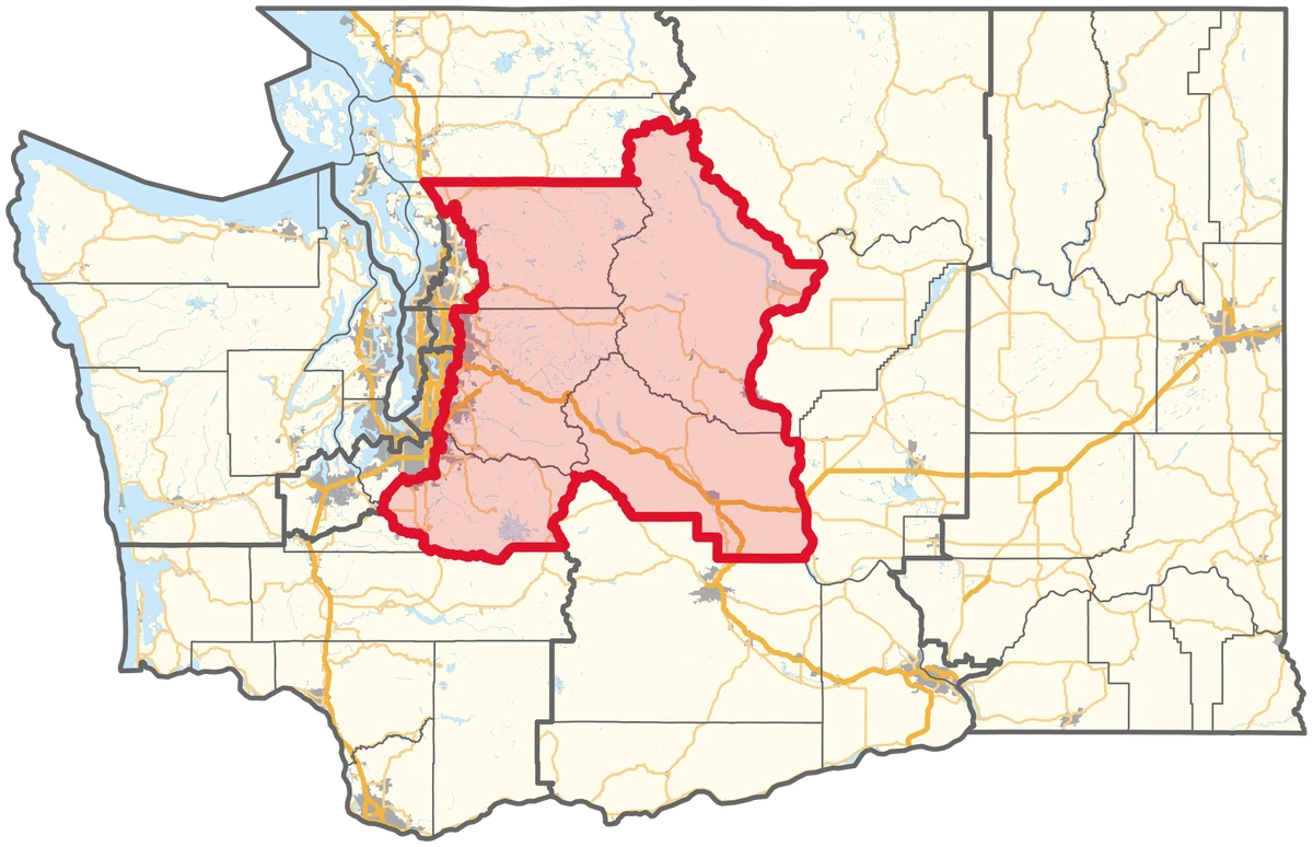 Washington's 8th Congressional District: Why This Swing Seat Matters