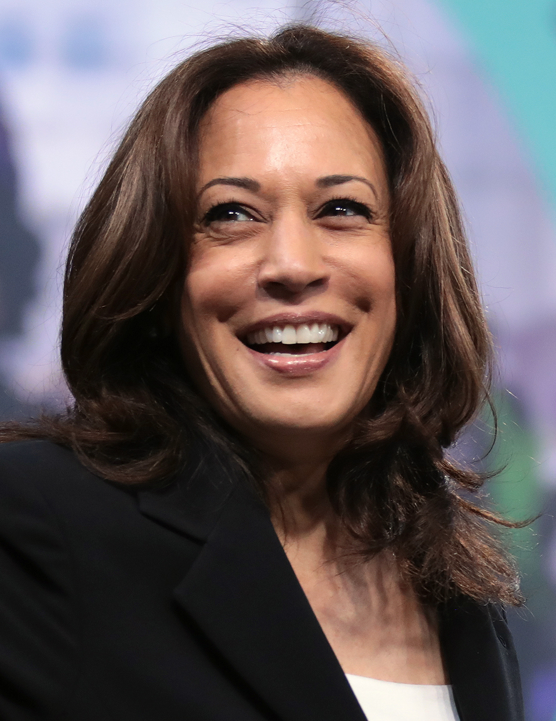 vice president elect of the united states wife
