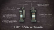 M84 Stun Grenade