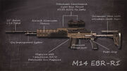 M14EBR-RI